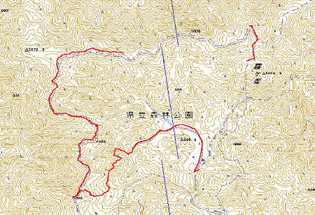 map森林公園