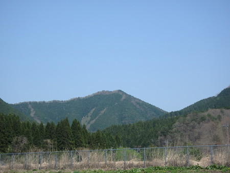 P4260105