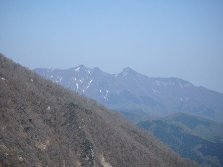 15042621