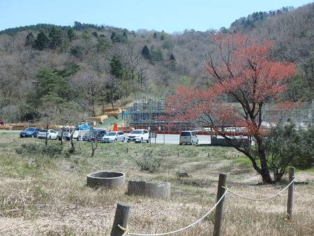 15042637