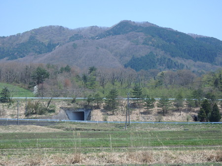 P4260074