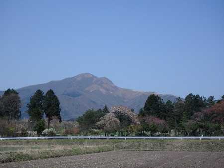 P4260075