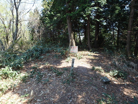 P4260086