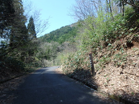 P4260095