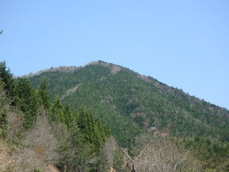 P4260099