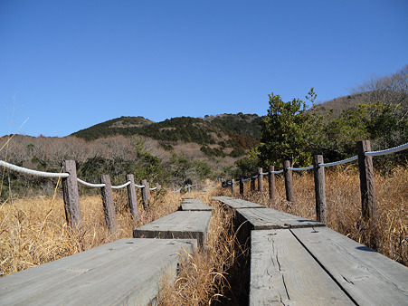 DSCN0630_01