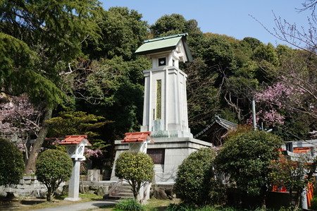 2015年3月30日 西公園 桜 福岡 さくら 写真 (101)