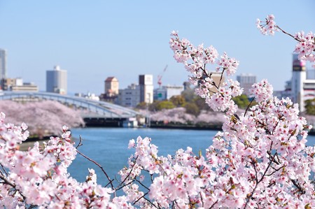 川崎橋から桜宮橋方面を