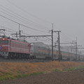 寝台特急 カシオペア (EF8181)