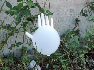 手