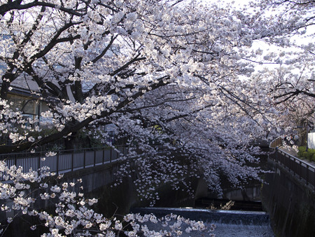 東宝撮影所(2)
