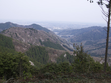 景信山から
