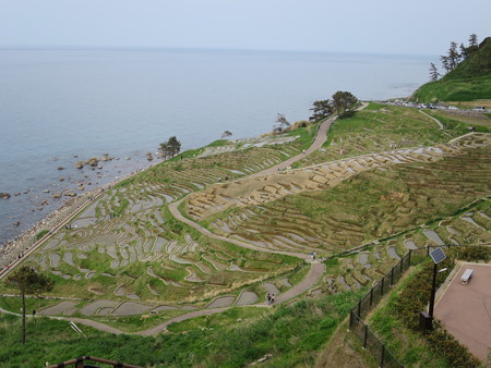 IMG_0600_11172