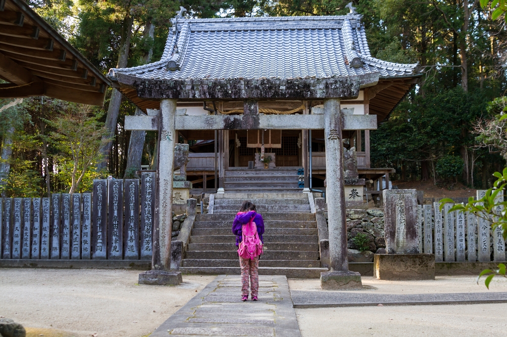 IMG_9667 写真: IMG_9667