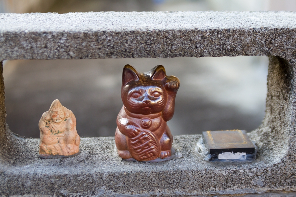 IMG_9682 写真: IMG_9682