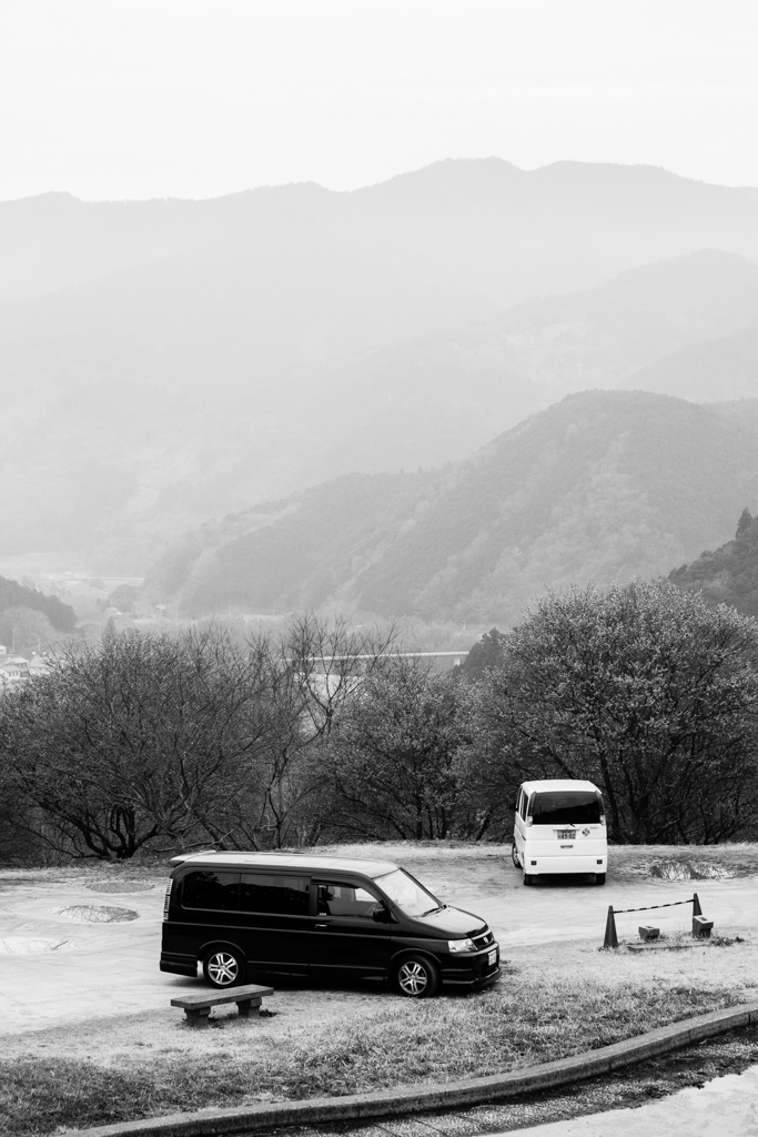 写真: IMG_2580