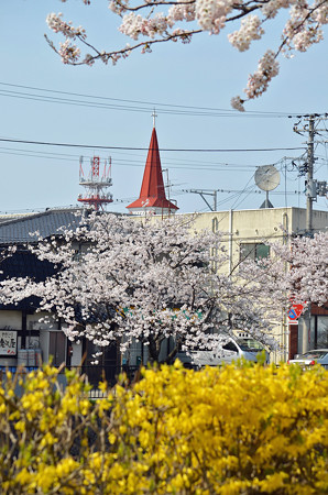 150412桜と三角屋根