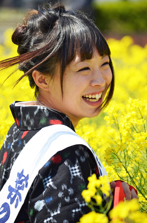 2015菜の花娘a 「風」