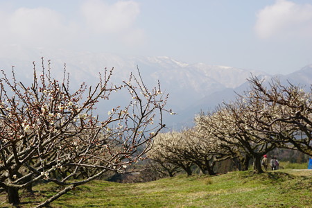 DSC00736