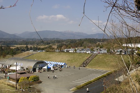 DSC00773