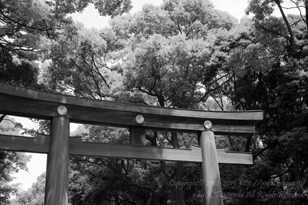 明治神宮鳥居