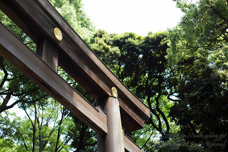 明治神宮鳥居