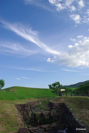 青い空、みどり