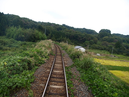 烏山線の車窓(小塙→滝)16