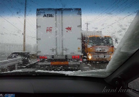 2011.2.9 雪