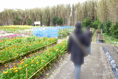 花日和農園
