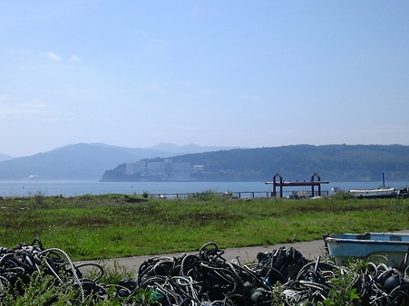 海と瓦礫