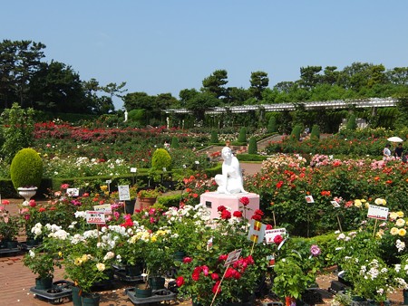 yatsurosegarden01