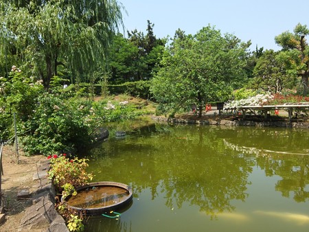 yatsurosegarden11