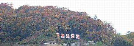裏山