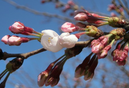 3/28 朝