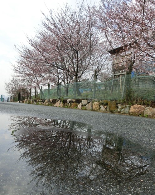 雨上がり