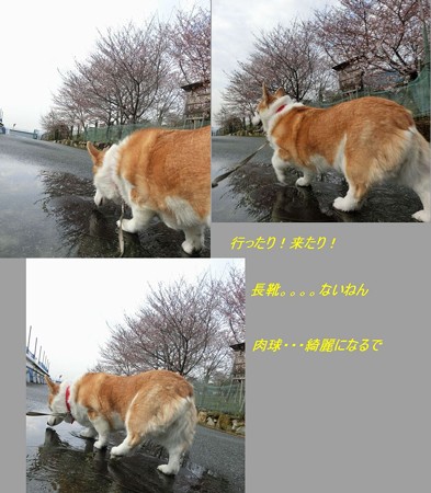 雨あがり