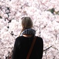Photos: 2015.04.02　千鳥ヶ淵　Cherry Blossoms