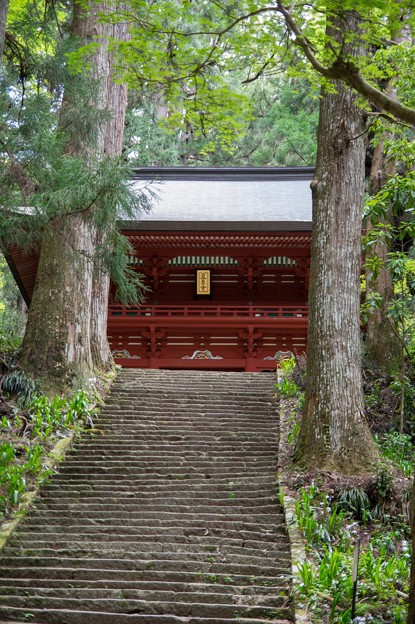 鳳来寺 門