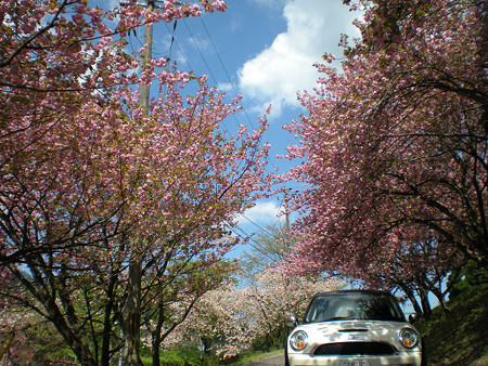 resize0063