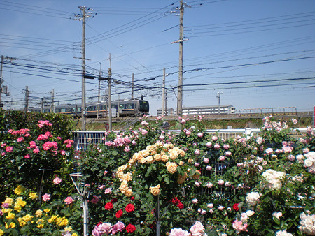 resize0119