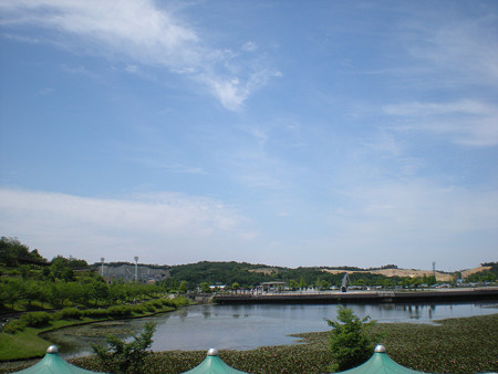 resize0143