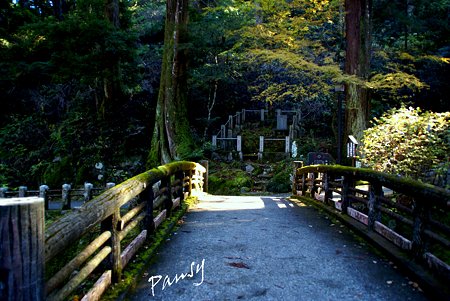 座禅石へ・・大雄山最乗寺さんぽ・・31
