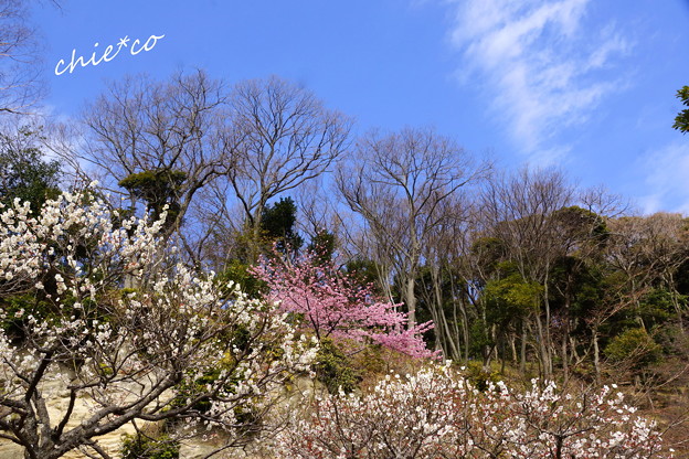 北鎌倉-423