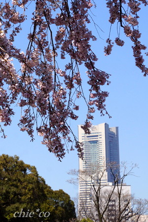 Yokohama-256