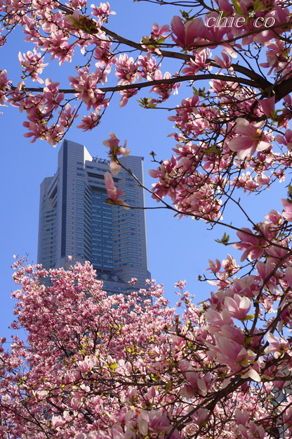 Yokohama-328