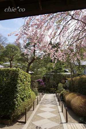 DSC09617-001