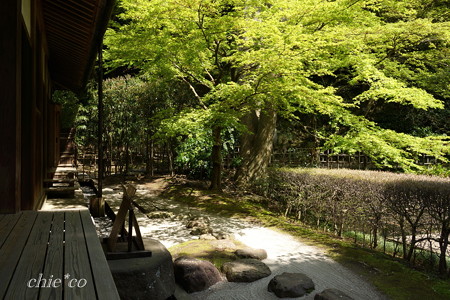 明月院-182