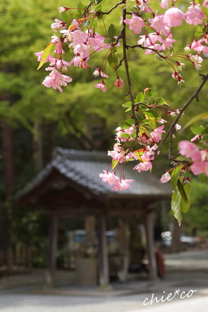 鎌倉-162
