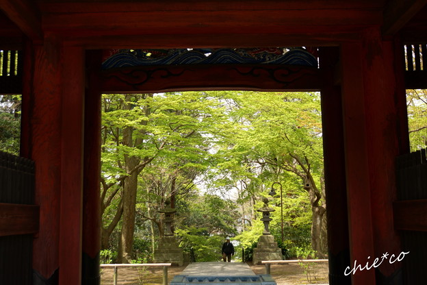 鎌倉-169